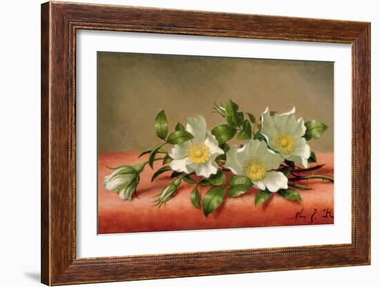 Cherokee Roses, 1889-Martin Johnson Heade-Framed Giclee Print