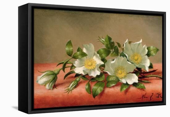Cherokee Roses, 1889-Martin Johnson Heade-Framed Premier Image Canvas