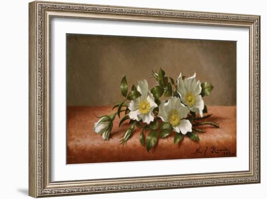 Cherokee Roses, 1889-Martin Johnson Heade-Framed Giclee Print