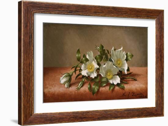 Cherokee Roses, 1889-Martin Johnson Heade-Framed Giclee Print