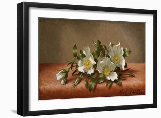 Cherokee Roses, 1889-Martin Johnson Heade-Framed Giclee Print