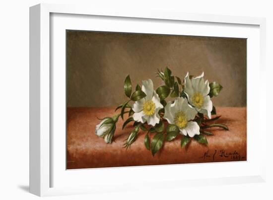 Cherokee Roses, 1889-Martin Johnson Heade-Framed Giclee Print