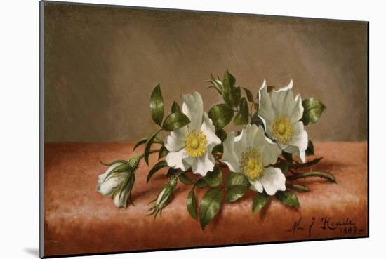 Cherokee Roses, 1889-Martin Johnson Heade-Mounted Giclee Print