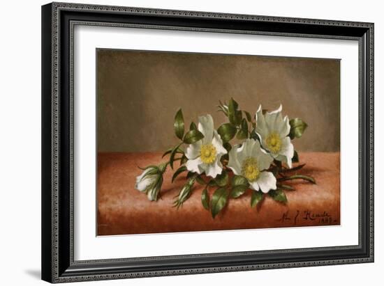 Cherokee Roses, 1889-Martin Johnson Heade-Framed Giclee Print