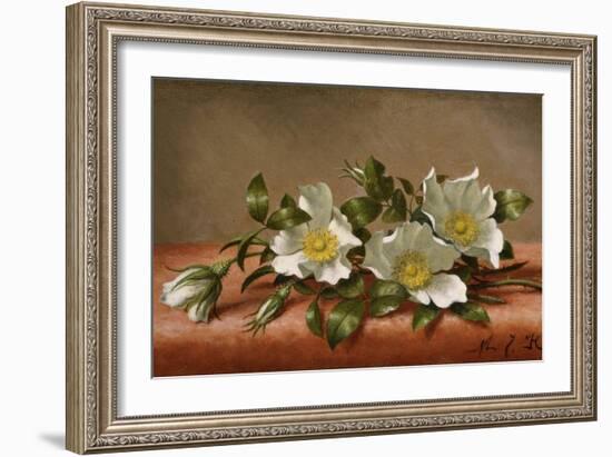 Cherokee Roses-Martin Johnson Heade-Framed Giclee Print