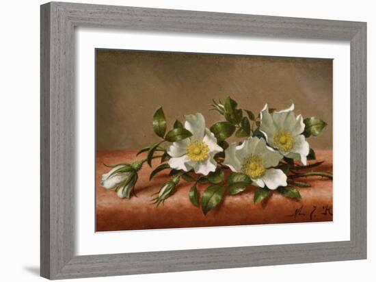 Cherokee Roses-Martin Johnson Heade-Framed Giclee Print