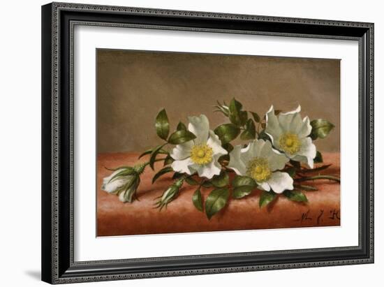 Cherokee Roses-Martin Johnson Heade-Framed Giclee Print