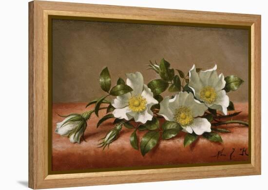 Cherokee Roses-Martin Johnson Heade-Framed Premier Image Canvas