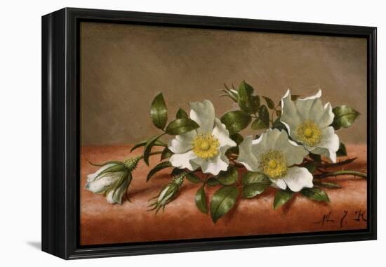 Cherokee Roses-Martin Johnson Heade-Framed Premier Image Canvas