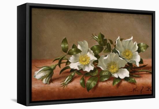 Cherokee Roses-Martin Johnson Heade-Framed Premier Image Canvas