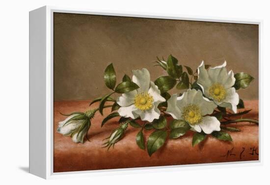 Cherokee Roses-Martin Johnson Heade-Framed Premier Image Canvas