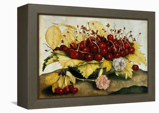 Cherries and Carnations-Giovanna Garzoni-Framed Premier Image Canvas