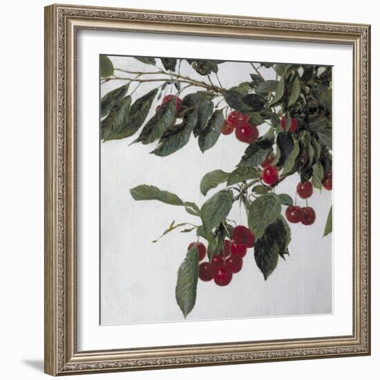 Cherries, c.1883-Henri Fantin-Latour-Framed Giclee Print