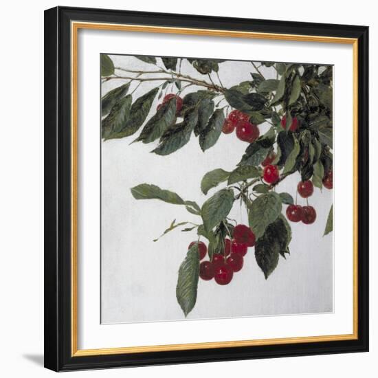 Cherries, c.1883-Henri Fantin-Latour-Framed Giclee Print