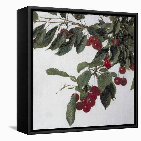 Cherries, c.1883-Henri Fantin-Latour-Framed Premier Image Canvas