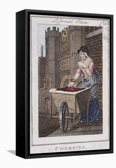 Cherries, Cries of London, 1804-William Marshall Craig-Framed Premier Image Canvas