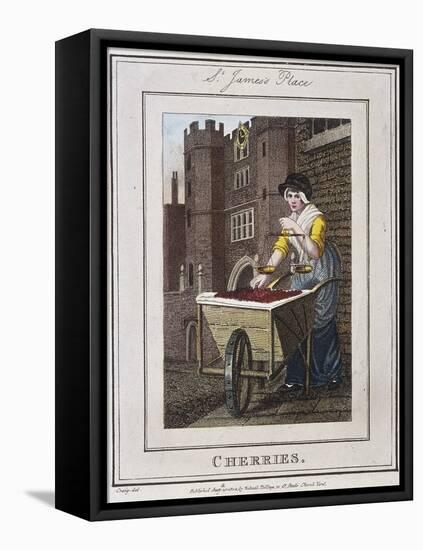 Cherries, Cries of London, 1804-William Marshall Craig-Framed Premier Image Canvas