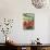 Cherries on Branch-Eising Studio - Food Photo and Video-Mounted Photographic Print displayed on a wall