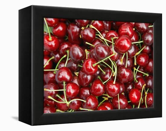 Cherries, Ripponvale, near Cromwell, Central Otago, South Island, New Zealand-David Wall-Framed Premier Image Canvas