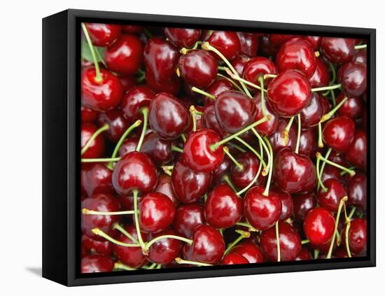 Cherries, Ripponvale, near Cromwell, Central Otago, South Island, New Zealand-David Wall-Framed Premier Image Canvas