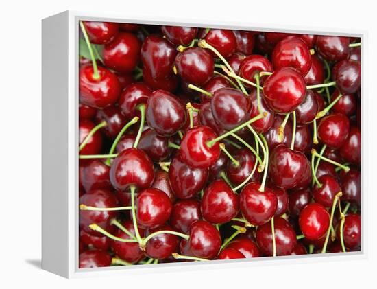 Cherries, Ripponvale, near Cromwell, Central Otago, South Island, New Zealand-David Wall-Framed Premier Image Canvas