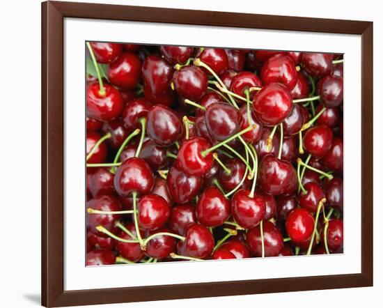 Cherries, Ripponvale, near Cromwell, Central Otago, South Island, New Zealand-David Wall-Framed Photographic Print