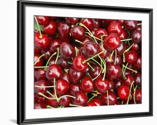 Cherries, Ripponvale, near Cromwell, Central Otago, South Island, New Zealand-David Wall-Framed Photographic Print