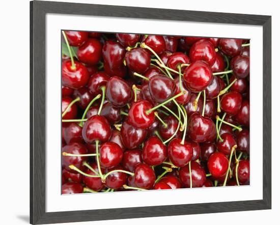 Cherries, Ripponvale, near Cromwell, Central Otago, South Island, New Zealand-David Wall-Framed Photographic Print