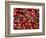 Cherries, Ripponvale, near Cromwell, Central Otago, South Island, New Zealand-David Wall-Framed Photographic Print