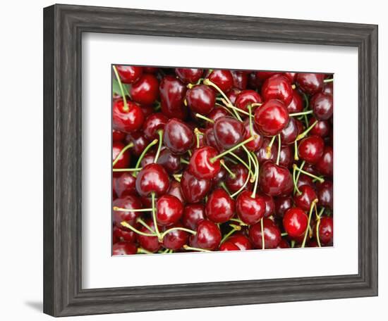Cherries, Ripponvale, near Cromwell, Central Otago, South Island, New Zealand-David Wall-Framed Photographic Print