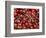 Cherries, Ripponvale, near Cromwell, Central Otago, South Island, New Zealand-David Wall-Framed Photographic Print