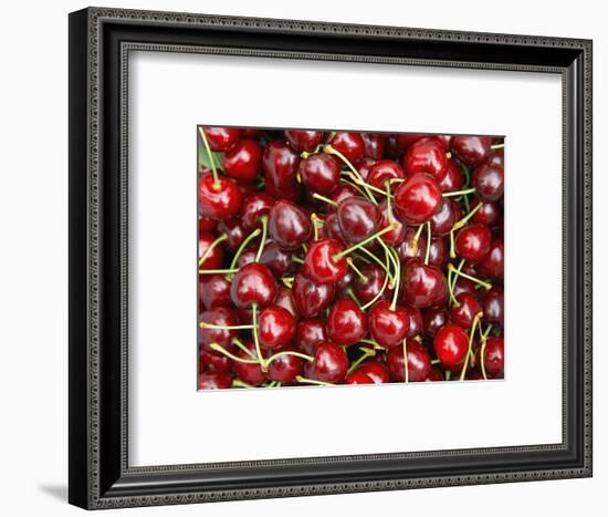 Cherries, Ripponvale, near Cromwell, Central Otago, South Island, New Zealand-David Wall-Framed Photographic Print