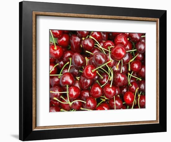 Cherries, Ripponvale, near Cromwell, Central Otago, South Island, New Zealand-David Wall-Framed Photographic Print