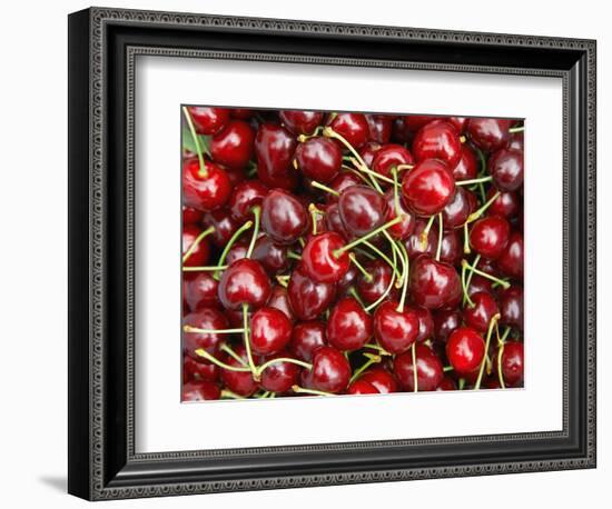 Cherries, Ripponvale, near Cromwell, Central Otago, South Island, New Zealand-David Wall-Framed Photographic Print