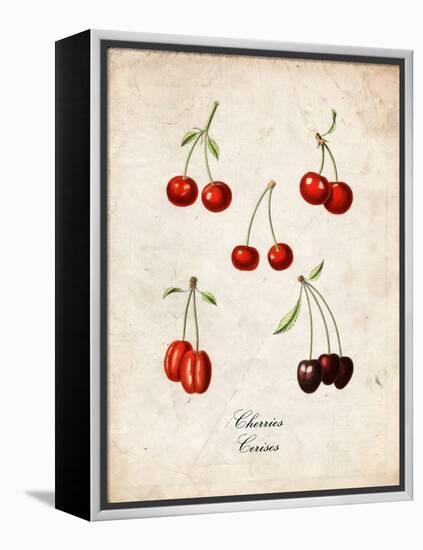 Cherries-null-Framed Stretched Canvas