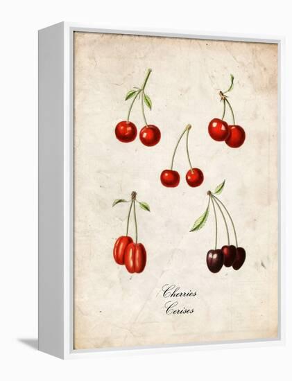 Cherries-null-Framed Stretched Canvas