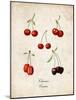 Cherries-null-Mounted Art Print