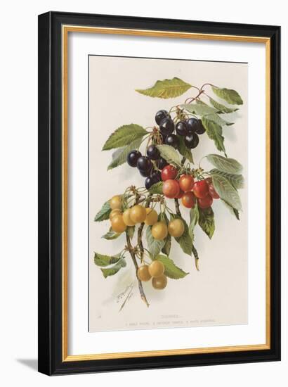 Cherries-null-Framed Giclee Print