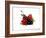 Cherry and Fresh Berries-Klaus Stemmler-Framed Photographic Print