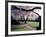 Cherry Blooms at the University of Washington, Seattle, Washington, USA-William Sutton-Framed Photographic Print