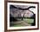 Cherry Blooms at the University of Washington, Seattle, Washington, USA-William Sutton-Framed Photographic Print