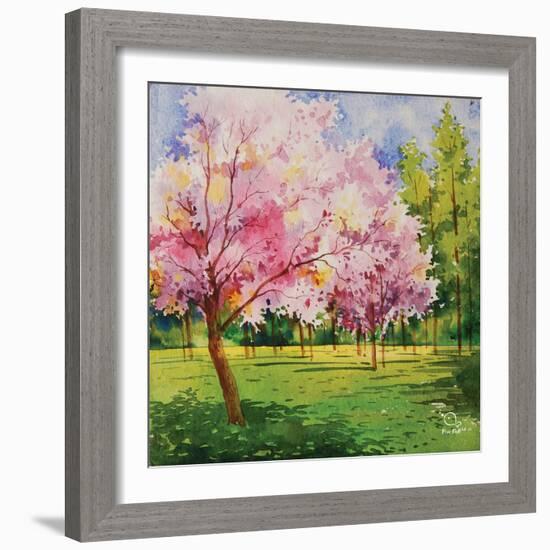 Cherry Blooms I-Blue Fish-Framed Art Print