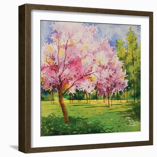 Cherry Blooms I-Blue Fish-Framed Art Print