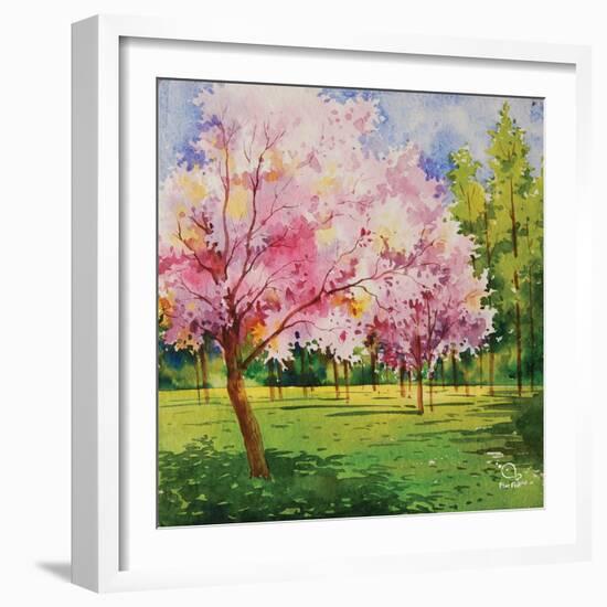 Cherry Blooms I-Blue Fish-Framed Art Print