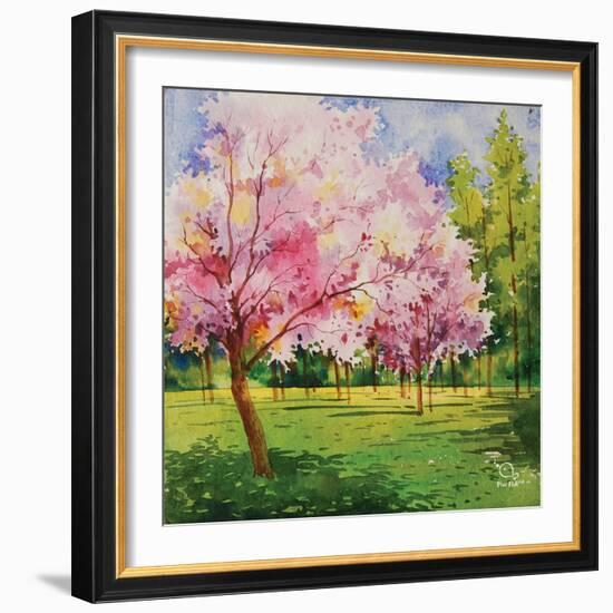 Cherry Blooms I-Blue Fish-Framed Art Print