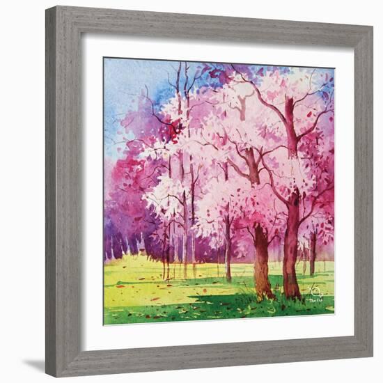 Cherry Blooms II-Blue Fish-Framed Art Print