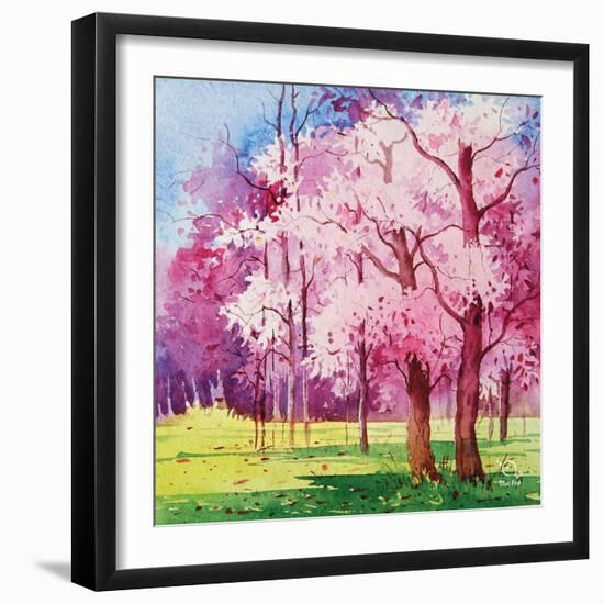 Cherry Blooms II-Blue Fish-Framed Art Print