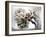 Cherry Blooms-Karen Williams-Framed Photographic Print