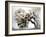 Cherry Blooms-Karen Williams-Framed Photographic Print