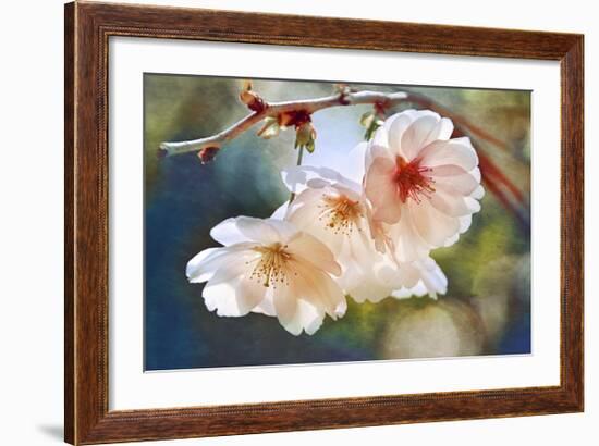 Cherry Blossom 1-Leda Robertson-Framed Giclee Print